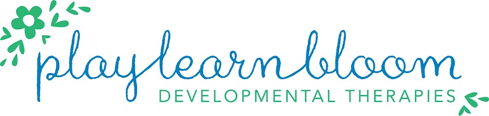 Play Learn Bloom Developmental Therapies