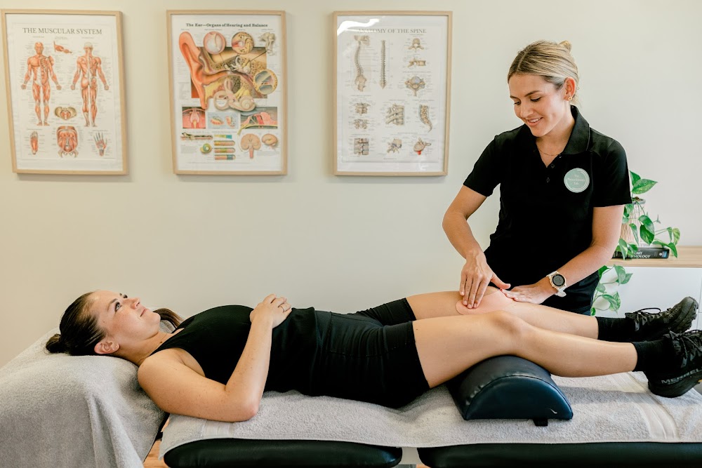 The Physiotherapy Lab