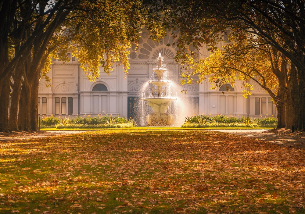 Psychology On The Park