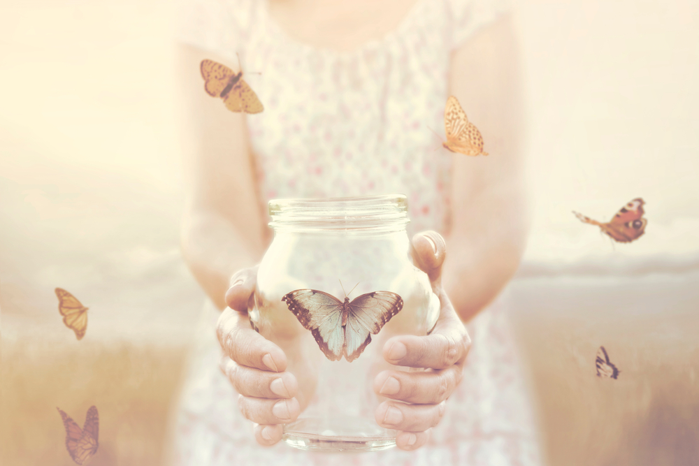 Harmony Counselling Gold Coast : Counselling Gold Coast