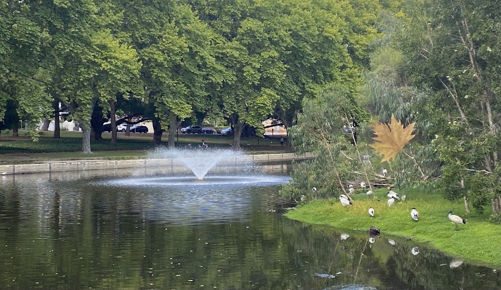 Hyde Park Psychology