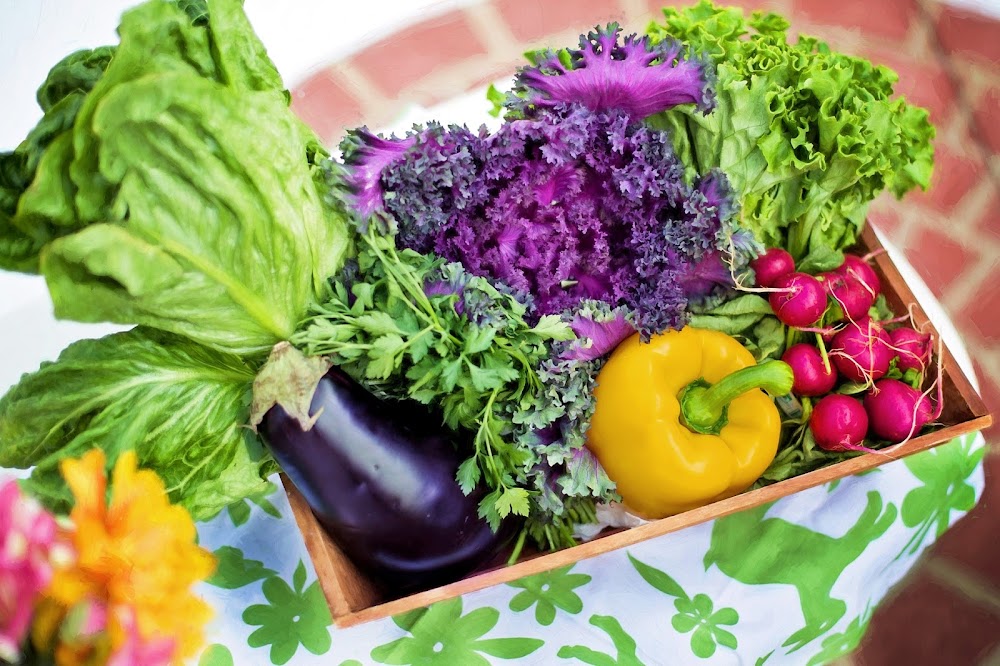 Sunshine Coast Dietitian & Nutritionist