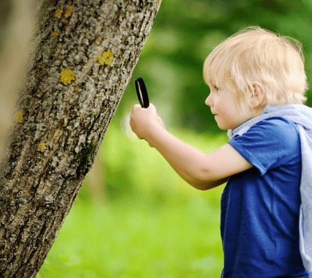 The Centre for Positive Behaviour Support - CPBS Brisbane