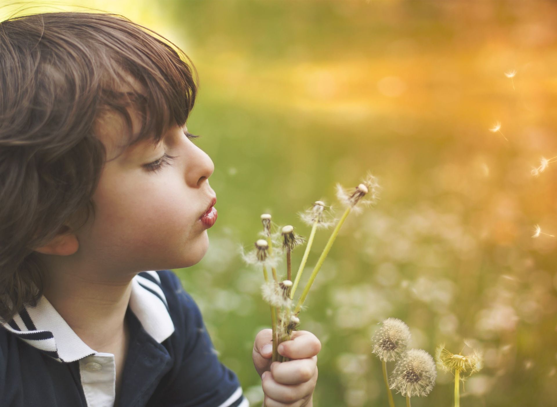 Budding Minds Psychology
