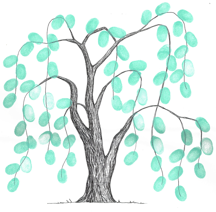 Willow Child Psychology