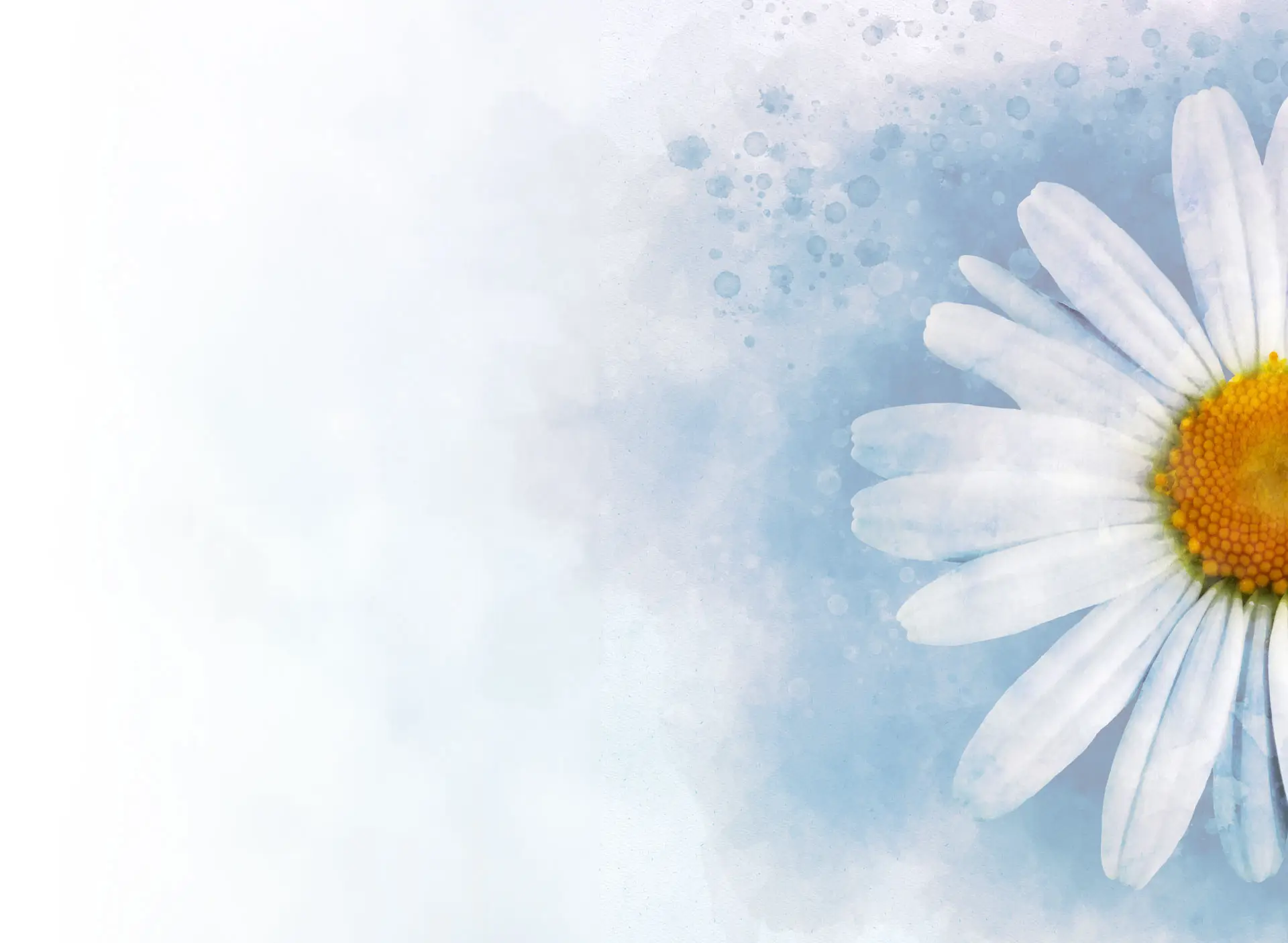 The Aster Clinic