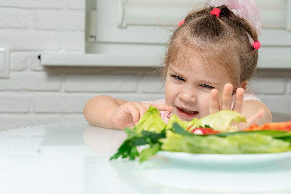 Sydney feeding specialist